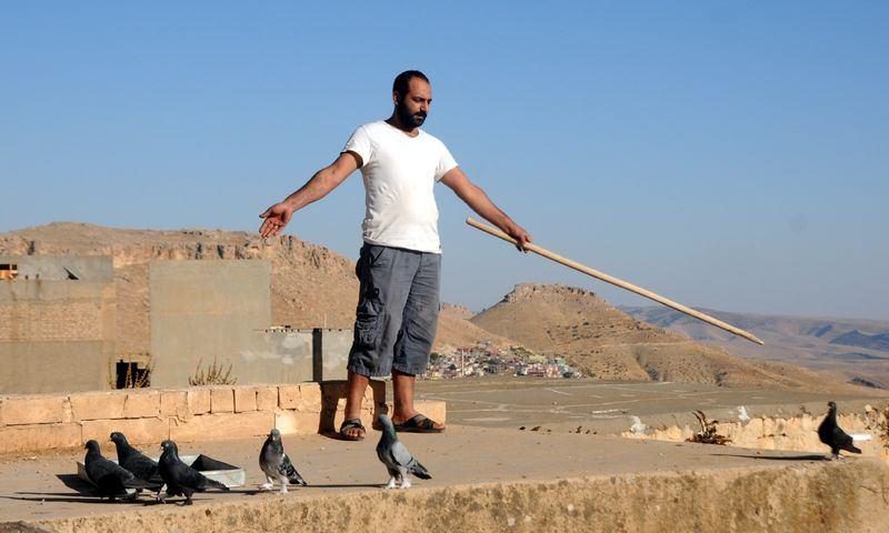 <div>Mardin Güvercinleri Koruma Yaşatma Derneği Başkanı Veysi Toparlı, AA muhabirine yaptığı açıklamada, barışın simgesi güvercinlerin Mardin'in de simgesi haline geldiğini söyledi.</div>
<div> </div>