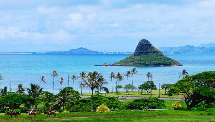 <p>Hawaii alfabesinde sadece 12 harf bulunmaktadır.</p>
<p> </p>