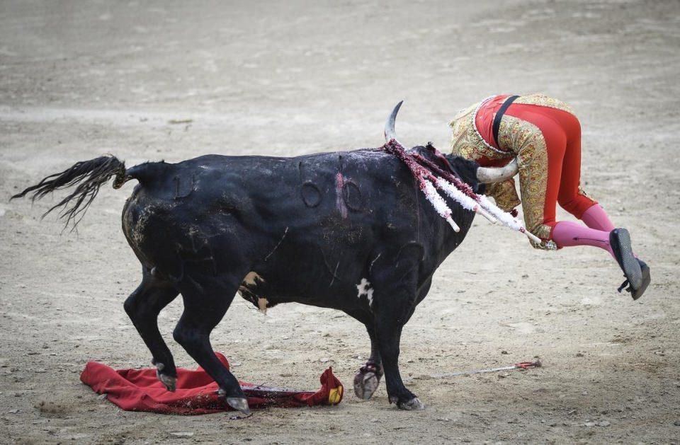 <p> İspanya'nın başkenti Madrid'deki boğa güreşi arenası Las Ventas'da düzenlenen boğa güreşi etkinliğinde 3 matador ve 6 boğa sahne aldı. Matador Lilian Ferrani, boğa karşısında zor anlar yaşadı.</p>