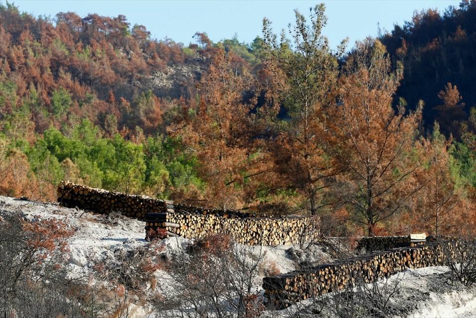 <p>İşin en önemli kısmından biri bu sterler, çünkü yaptıkları ster başına ücret alıyorlar.</p>