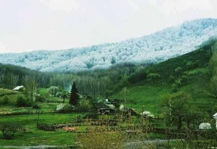 <p>4- Altai'de kar </p>
