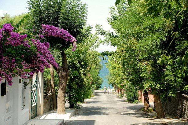 <p><strong>Doğal Güzellikler</strong><br />
Boğaz'ın güzelliği bir yana dursun, başka doğal güzelliklerin de yeridir İstanbul. Başlıcalarını Adalar, Belgrad Ormanları, Çamlıca, Yıldız Parkı, Gülhane Parkı, Anadolu ve Rumeli Kavağı, Polonezköy, Kilyos olarak sayabiliriz. </p>
<p> </p>