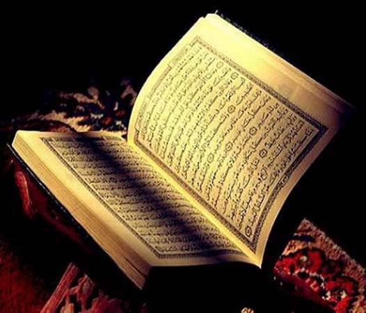 <p>Peygamber Efendimizin anlattığına göre bu şöyle olacaktır: Allah Teâlâ her bir insanla tercümansız konuşacaktır. O zaman insan sağ tarafına bakacak, âhirete gönderdiği iyilikleri görecek. Soluna bakacak, vaktiyle yaptığı kötü işleri görecek. Önüne bakacak, önünde sadece Cehennemi görecektir.</p>

<p> </p>
