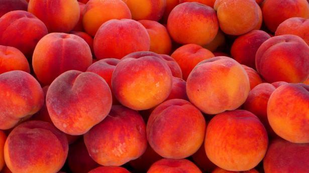 <p>Aynı zamanda C vitamini açısından da zengin bir meyve olan şeftali bağışıklık sistemimizin güçlenmesi için de oldukça faydalı bir meyvedir.  </p>
