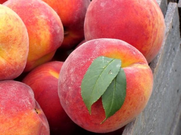 <p>Görme duyumuzun gelişmesinde ve vücudumuzun savunma mekanizmasının gelişiminde aktif rol oynar.<br />
 </p>
