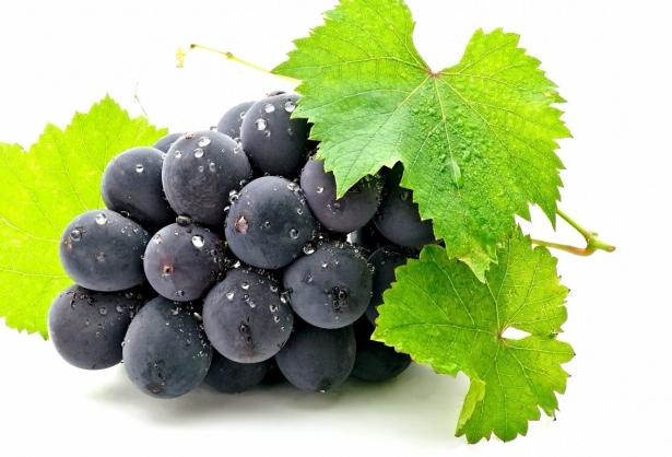 <p><strong>Üzüm:</strong> Yaklaşık 100 gram kadar olan bir salkımındaki karbonhidrat miktarı 18.1 gram olan 0.7 gram kadar protein ve 0.9 gram kadar lif bulunan üzüm güçlü bir antioksidan kaynağıdır.  </p>
