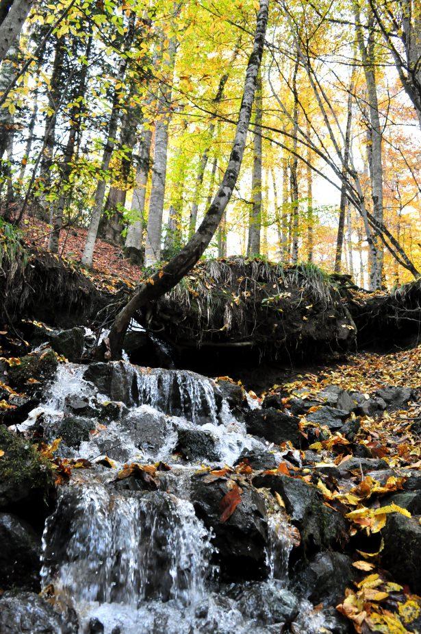 <p><strong>Zahteroğulları, Yedigöller'in tanıtımını yaparken Bolu'nun da tanıtımının yapıldığını ifade ederek, "Yedigöller'in yanında Gölcük, Abant'ı ve diğer doğal güzellikleri, asıl amacımız Bolu ilinin her güzelliğini ve her köşesini tanıtmak. Bunu yaparken de sanata ve sanatçıya destek olmaya çalışıyoruz" ifadesini kullandı.</strong></p>
