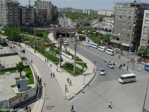 <p>Yenişehir(DİYARBAKIR) - 350 adet</p>