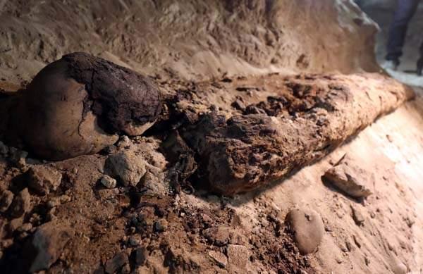 <p>Öte yandan Kahire Üniversitesi kazı başkanlığı görevini yürüten Mohamed Hamza, iyi durumda olan 17 mumya kalıntıları keşfedildi.</p>

<p> </p>
