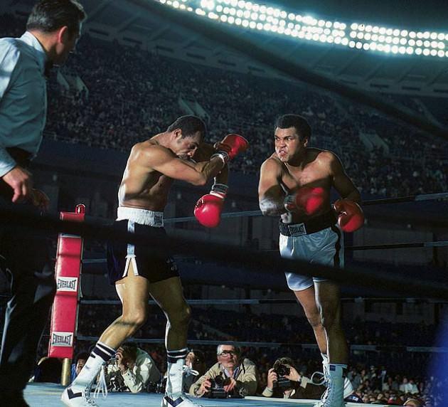 Ali ve Ken Norton 1973'te 2 defa karşılaştılar. Bu karşılaşmaların hepsi büyük bir çekişmeye sahne oldu. 1976'da Yankee Stadı'ndaki maçta, Ali kazanacağından emindi. Norton'un koçu taktik olarak oyuncusuna Ali'den uzak durması gerektiğini söylemiş ve onu uyarmıştı. Maçı böyle kazanabiliceğini düşünmüştü fakat kazanan yine Ali olmuştu.