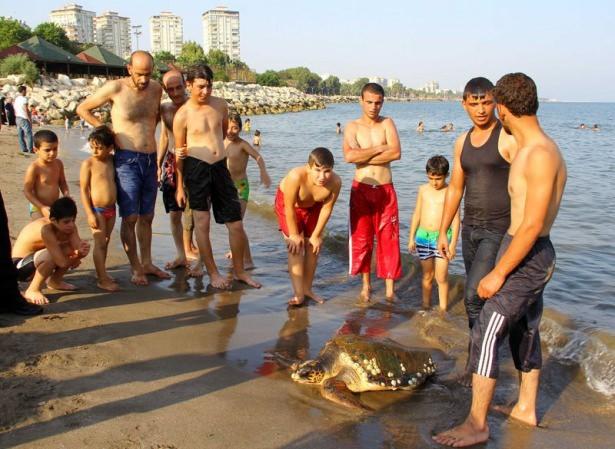<div>Ekiplerin gelmesi üzerine olay yerine Doğa Koruma ve Milli Parklar Mersin Şube Müdürlüğü yetkilileri çağrıldı. Çevredekiler, yetkililer gelene kadar da deniz kaplumbağasını suyla ıslatarak, rahatlamasını sağladı.</div>
