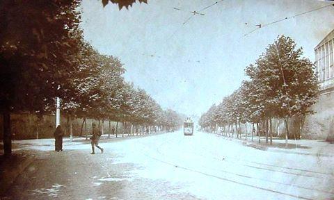 <p>Dolmabahçe Beşiktaş arası "Ağaçlı Yol"</p>