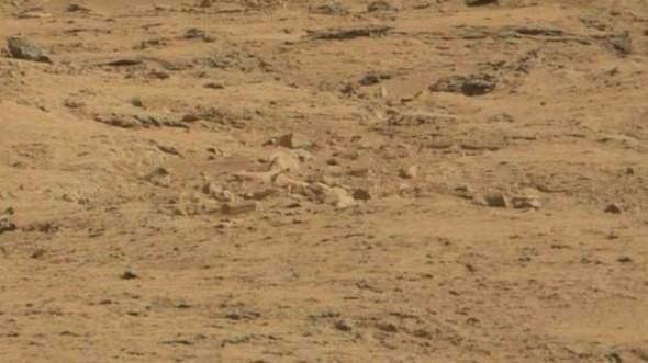 <p>Curiosity’nin çektiği aşağıdaki fotoğrafta ilk bakışta hiçbir şey göze çarpmıyor. Ancak fotoğrafın renklerini değiştirip biraz da yaklaştırınca, bugüne dek Mars’ta hiç görülmemiş bir obje dikkati çekiyor.</p>
<p> </p>