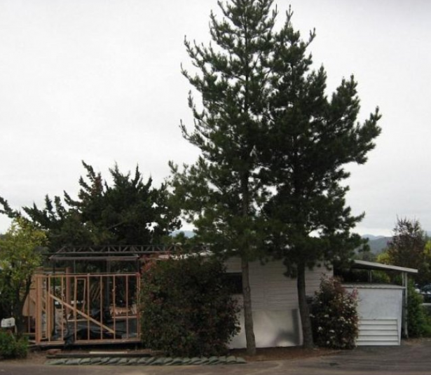 <p>ABD'nin California kentinde yaşayan mimar Amy Shock istediği yere götürebileceği tekerlekli bir ev inşa etti. </p>
