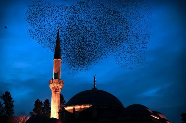 İstanbul’da Sinan Paşa Camii’nin üzerinde uçan kuşların oluşturduğu kalp şekli bir an objektife takıldı. (Fotoğraf: Uğur CAN / Doğan Haber Ajansı)