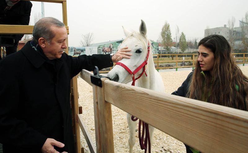 <p>Fiziksel, duygusal ve öğrenim engelli bireylerin atla tedavisine dayanan bu yöntem günümüzde ABD, İngiltere ve Avusturalya'da uygulanıyor.</p>
<p> </p>