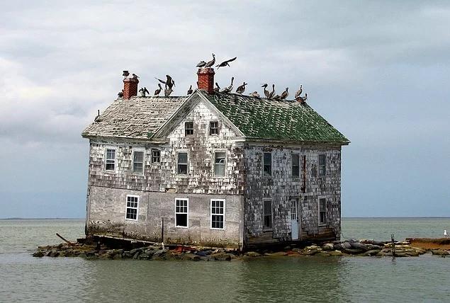 <p>Holland Island</p>
<p>Chesapeake Limanı</p>