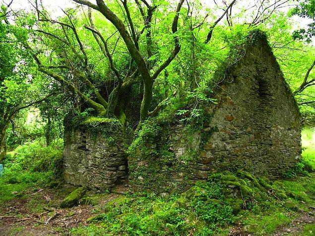 <p>Sneem ve Kenmare arasındaki Kerry Way yürüyüş yolu</p>
<p>İrlanda</p>