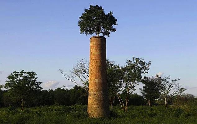 <p>Asuncion, Paraguay</p>
