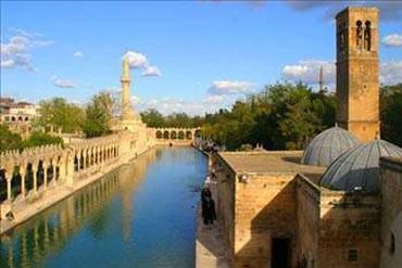 <p><span><span>ŞANLIURFA</span></span></p>
<div id="haber-detay">
<p>Genel sıralamada: 77<br />Ekonomi: 73<br />Eğitim: 81<br />Sağlık: 80<br />Güvenlik: 3<br />Kent hayatı: 55<br />Kültür sanat: 77</p>
</div>