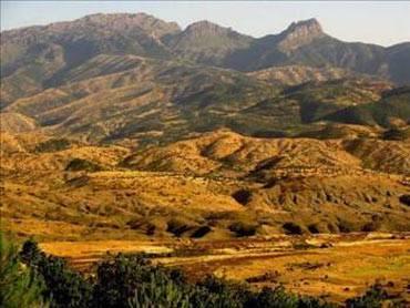 <p><span><span>ŞIRNAK</span></span></p>
<div id="haber-detay">
<p>Genel sıralamada: 71<br />Ekonomi: 80<br />Eğitim: 76<br />Sağlık: 81<br />Güvenlik: 2<br />Kent hayatı: 44<br />Kültür sanat: 79</p>
</div>