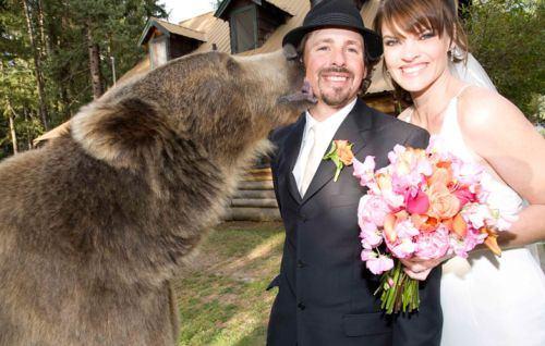 <p>2008 yılında evlenen Casey Anderson'un düğününde baş konuk sevimli ayısı Brütüs olmuş. Ayısını nikah şahidi yapan Casey, bunu resmi kayıtlara geçirememiş. Karısı ve ayısıyla birlikte bol bol hatıra fotoğrafları çektiren Anderson, düğün pastasını da ayısıyla birlikte yemiş.</p>
<ul>
</ul>