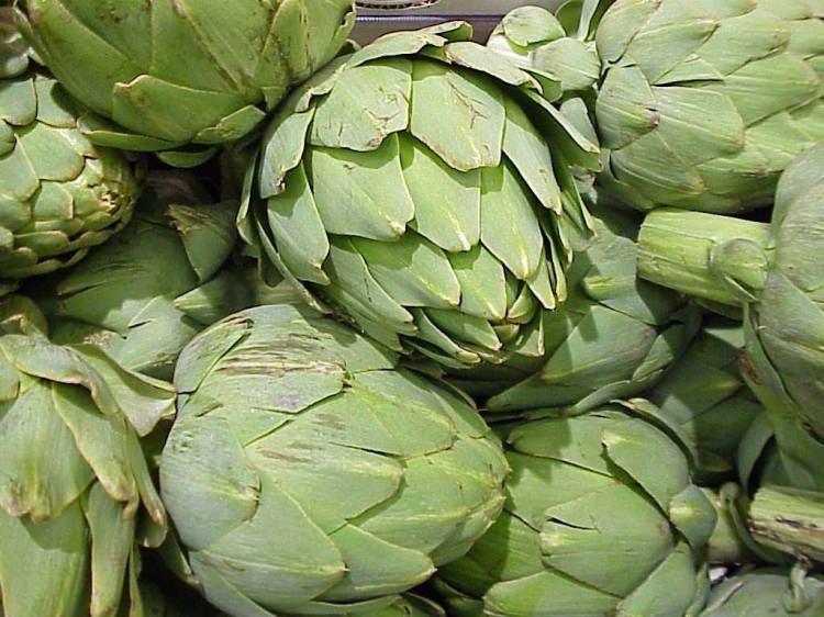 <p><strong>Enginar:</strong> Son derece besleyici olan Enginar içerisinde A,C,E,B,K vitaminlerini ve potasyum barındırır. Enginar aynı zamanda antioksidan özellikler gösterir. </p>
<p> </p>