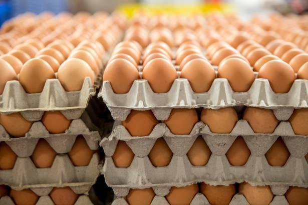 <p>Yayınlanan yeni mevzuatla birlikte 20 Aralık 2015 tarihi itibariyle kümes ve işletme numarası ile yumurtlama tarihi üzerinde damgalı bir şekilde olmayan yumurtaların toptan veya perakende olarak satışı yasaklanmıştır. </p>

