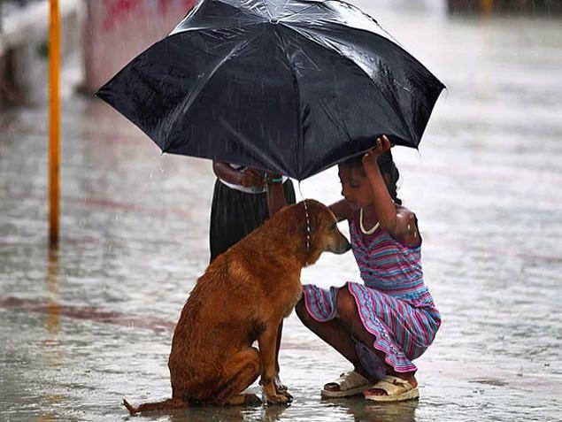 <p>Mumbai'de şemsiyesiyle sokakta rastladığı köpeği yağmurdan koruyan çocuk.</p>
