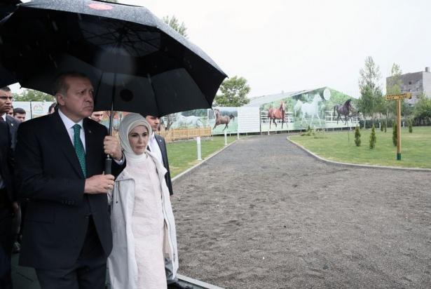 <p>Arap Atı Tanıtım ve Hippoterapi Merkezi ile TİGEM İşletmeleri’ndeki tesislerin toplu açılışı Cumhurbaşkanı Recep Tayyip Erdoğan’ın katıldığı törenle gerçekleştirildi. </p>
