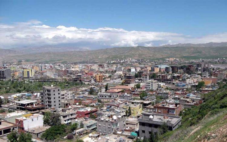<p>Şırnak</p>
