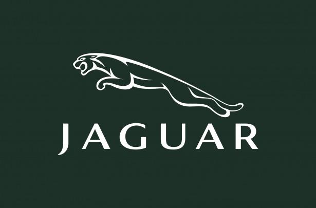 <p>JAGUAR</p>
