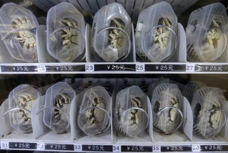 <p>Otomatlarda satılan canlı yengeçler</p>

<p>Bazı Çin şehirlerinde, plastik kutular içerisinde canlı yengeç satan metro istasyonlarına kurulan otomatlar bulunmaktadır.</p>
