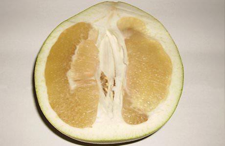 <p><strong>10- Pomelo</strong></p>

<p>Tadı ve görünüşü itibariyle greyfurta benzer. Yaşlanma karşıtı, antioksidan ve C vitamini deposudur; mideye ve kalbe iyi gelir. Hesperidin isimli bir glikozit içerir. Bu madde P vitamini etkisi göstererek kılcal damarları kuvvetlendirir. </p>

<p> </p>
