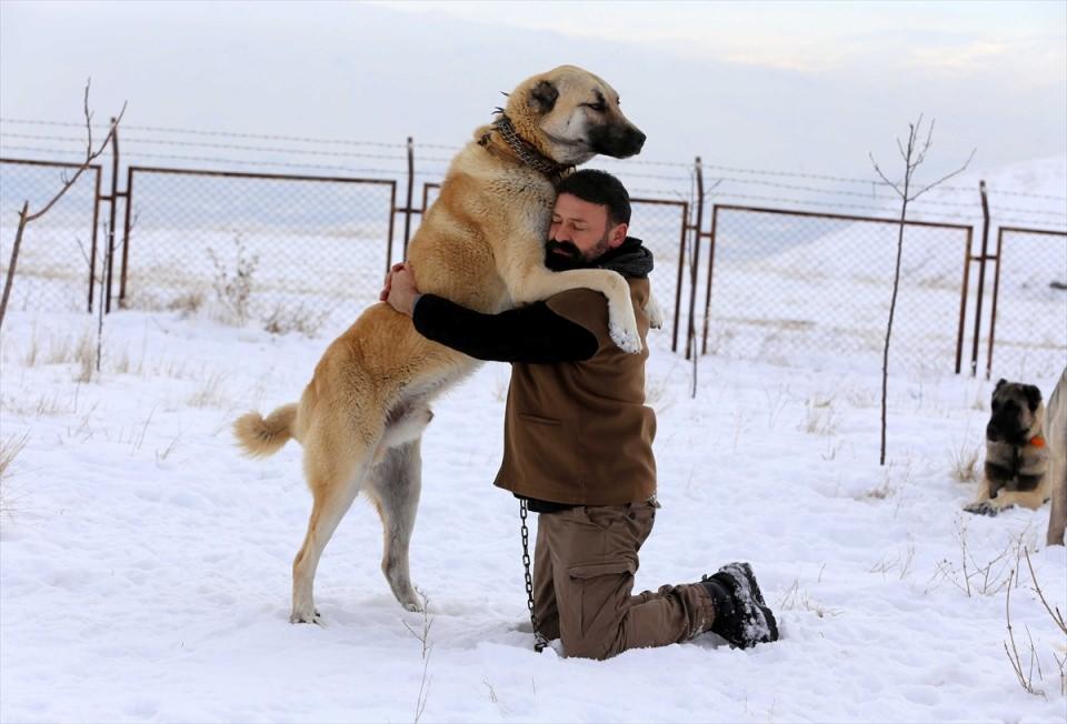 <p>SİVAS</p>
