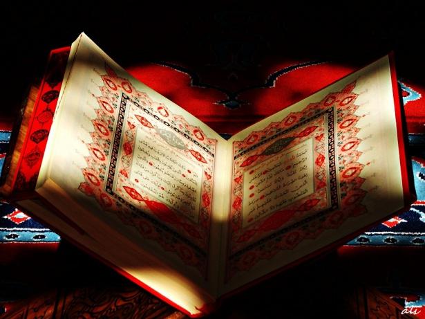 <p>Hiçbir şeye hayır demezdi hep evet derdi. Yapamayacak olursa sükût ederdi.</p>
