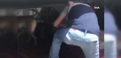 Bizans, Roma ve Orta&ccedil;ağ d&ouml;nemine ait tarihi eserler ele ge&ccedil;irildi
