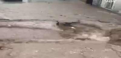 Avusturya&rsquo;da sele kapılan T&uuml;rk &ccedil;iftin hayatını Avusturyalı komşusu kurtardı