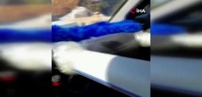 Bursalı vatandaştan kurban eti i&ccedil;in sıra dışı soğutma sistemi