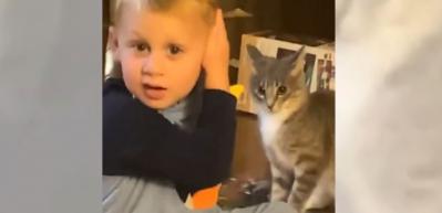 İzlediğiniz tüm kavgaları unutun!