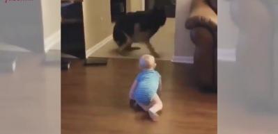 Bebeğin köpekle kovalamaca oynadığı anlar...