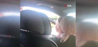 Bulgar polisinin zorbalığı kamerada