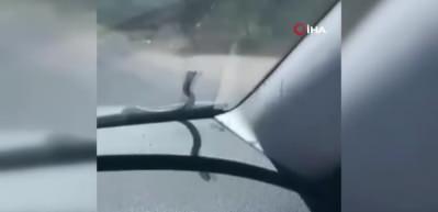 Dikkat ara&ccedil;ta yılan var!