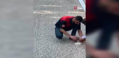 Yangından ka&ccedil;an yavru kaplumbağaya elleriyle su verdiler