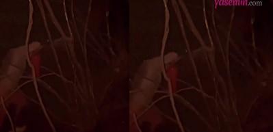 Yusuf Güney yangın söndürme çalışmalarına katıldı!