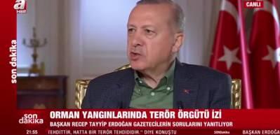 Başkan Erdoğan a&ccedil;ıkladı: Orman yangınlarında ter&ouml;r &ouml;rg&uuml;t&uuml; izi
