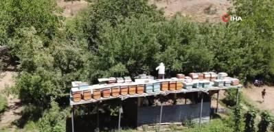 Elazığ'da arılar balını yiyince &ccedil;areyi 3,5 metrelik iskelede buldu