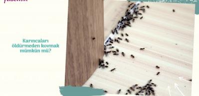 Karıncaları &ouml;ld&uuml;rmeden kovmak m&uuml;mk&uuml;n m&uuml;?