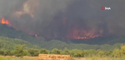 Muğla&rsquo;da artan sıcaklarla birlikte alevler yeniden y&uuml;kseliyor