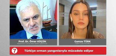 Orman yangınlarının sebepleri neler?